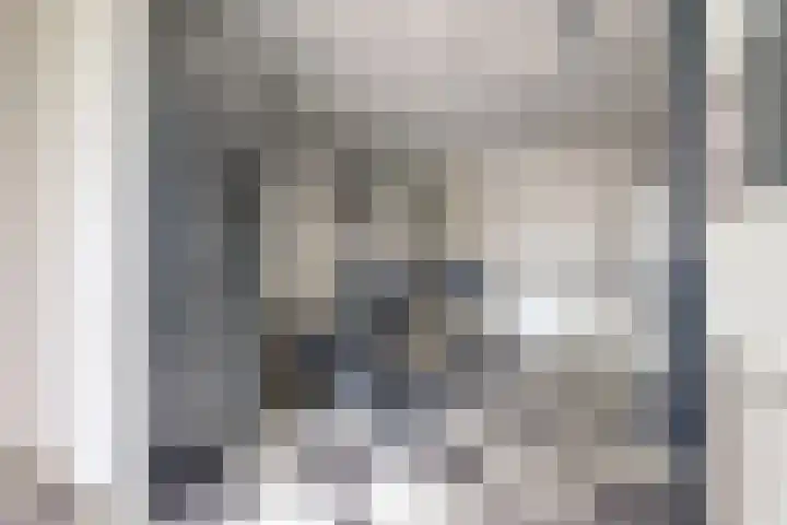 Spinet 37 Zevenaar thumbnail 49
