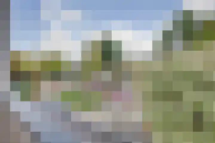 Spinet 37 Zevenaar thumbnail 50