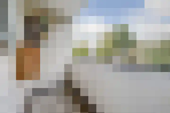 Spinet 37 Zevenaar thumbnail 51