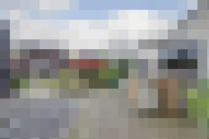 Spinet 37 Zevenaar thumbnail 56