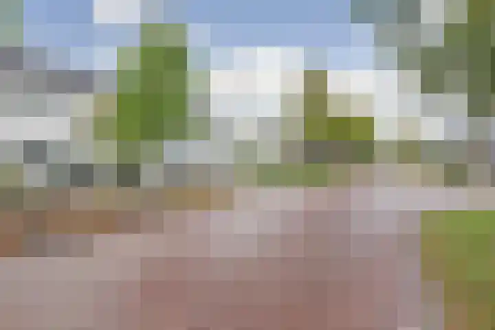 Spinet 37 Zevenaar thumbnail 65