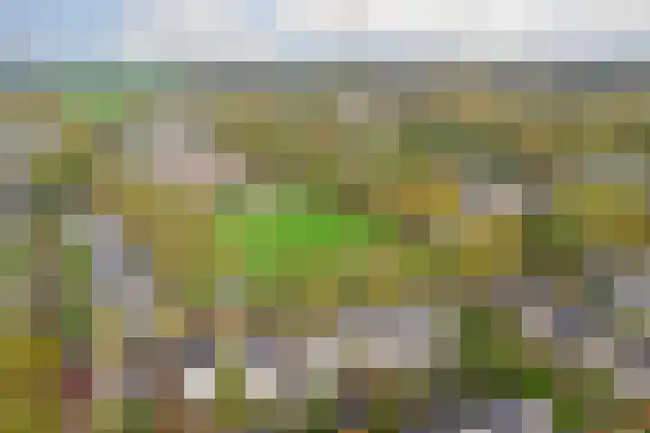 Spinet 37 Zevenaar thumbnail 70