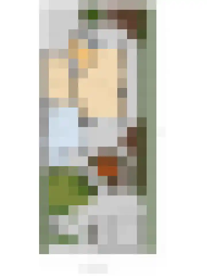 Spinet 37 Zevenaar thumbnail 71