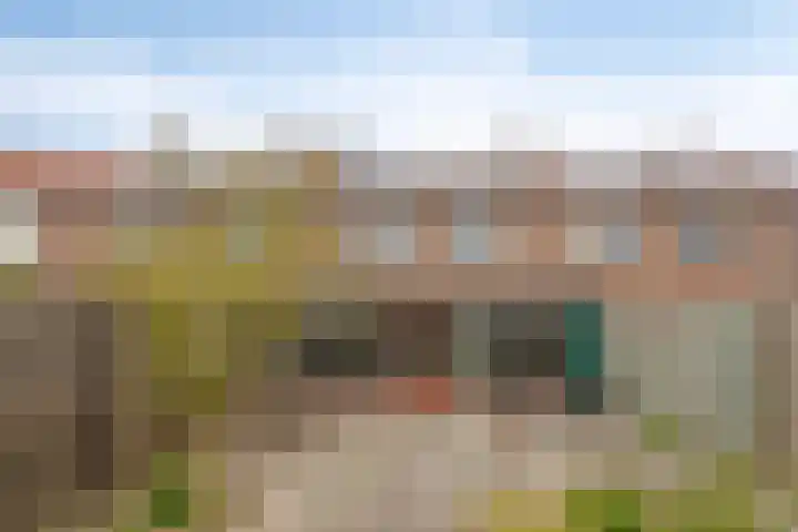 Spinetstraat 57 Uden thumbnail 24