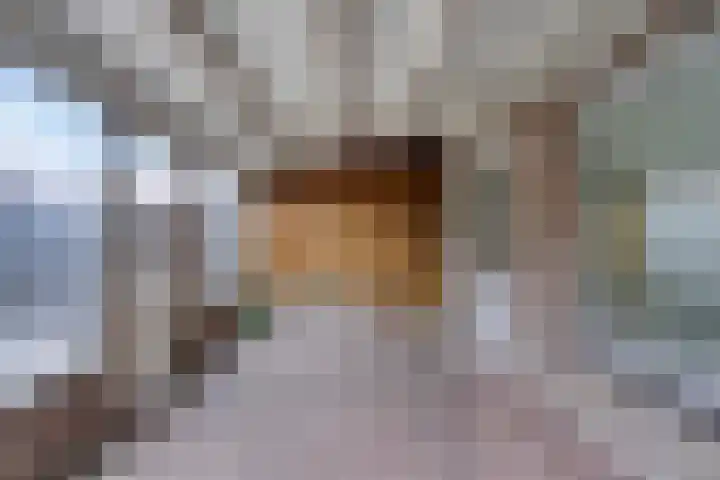 Spinetstraat 57 Uden thumbnail 9