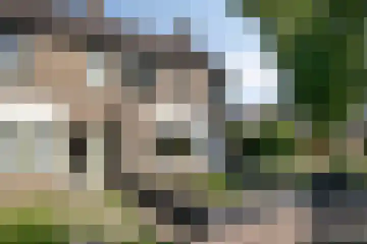 Spinetstraat 62 Etten-Leur thumbnail 43