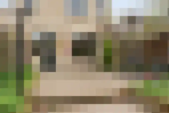 Spinetstraat 76 Etten-Leur thumbnail 32