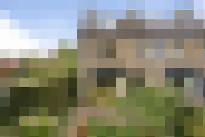 Spinetstraat 76 Etten-Leur thumbnail 38