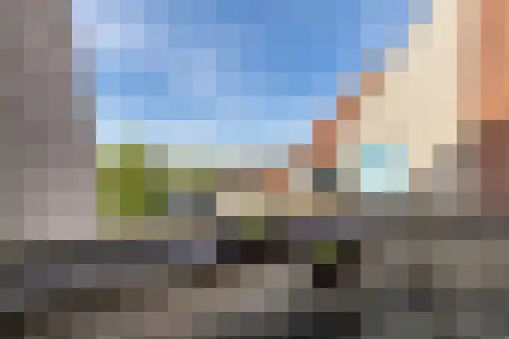 Spinhuispad 23 Schiedam thumbnail 32