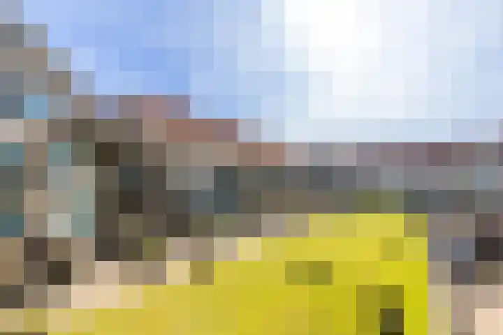 Spinhuispad 23 Schiedam thumbnail 6