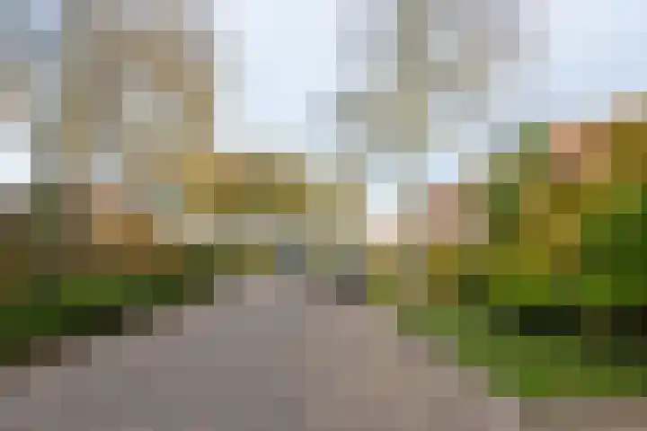 Spinhuispad 64 Schiedam foto 2