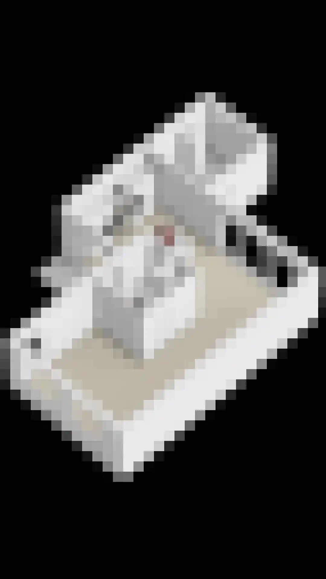 Spinhuispad 64 Schiedam thumbnail 22