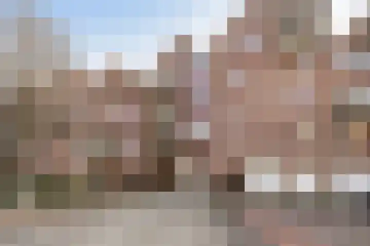 Spinhuispad 64 Schiedam thumbnail 25