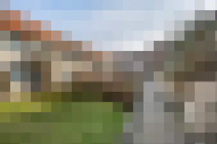 Spinhuispad 64 Schiedam thumbnail 30