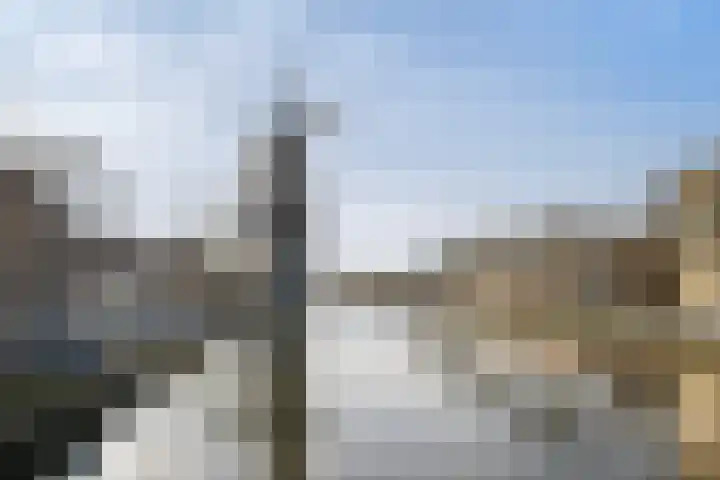 Spinhuispad 64 Schiedam thumbnail 31