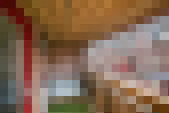 Spinhuispad 64 Schiedam thumbnail 6