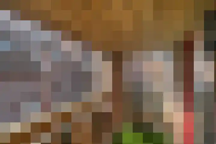 Spinhuispad 64 Schiedam thumbnail 7