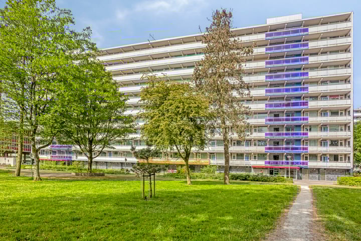 Spinnekop 35 in Amsterdam foto