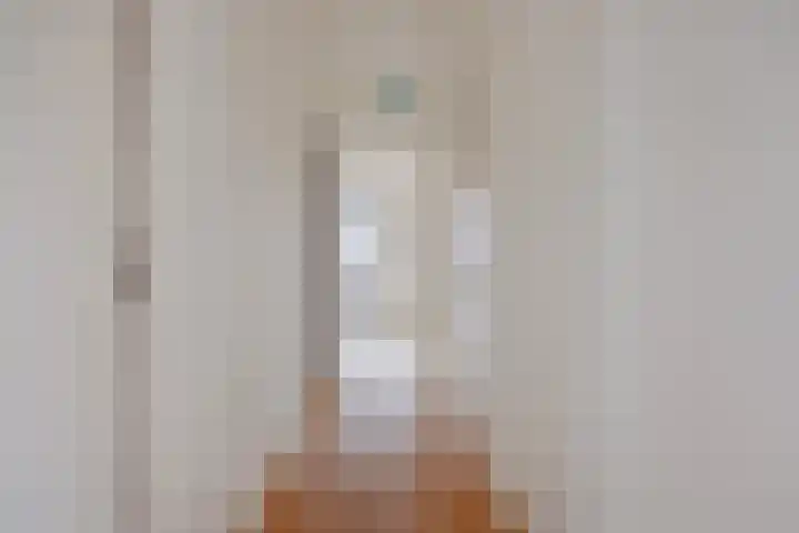 Spinnekopmolen 17 de Lutte thumbnail 10