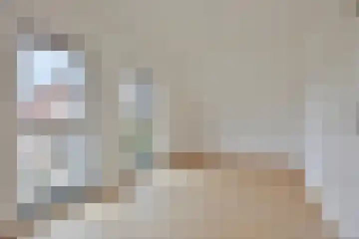 Spinnekopmolen 17 de Lutte thumbnail 12