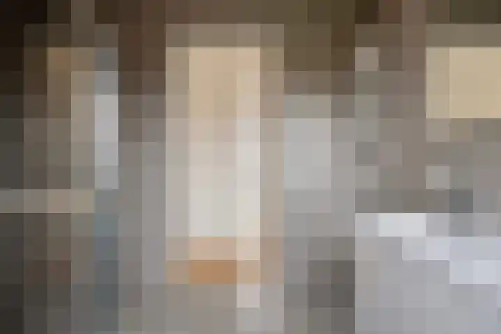 Spinnekopmolen 17 de Lutte thumbnail 15