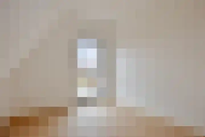Spinnekopmolen 17 de Lutte thumbnail 16