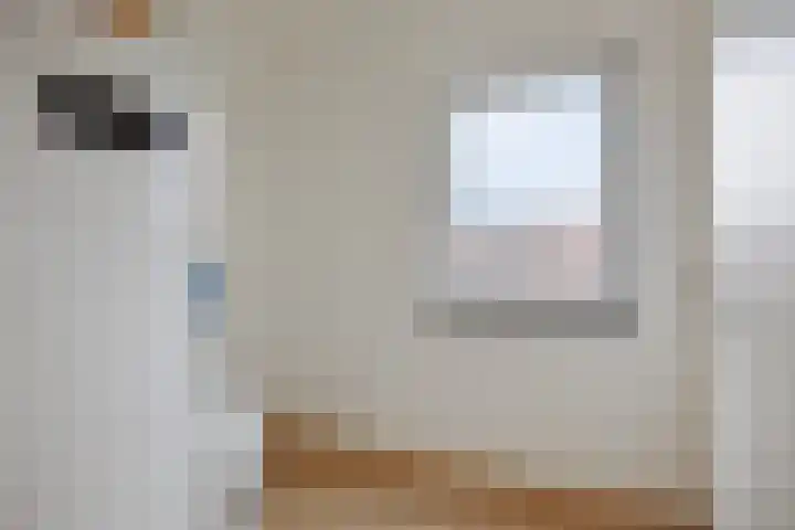Spinnekopmolen 17 de Lutte thumbnail 19