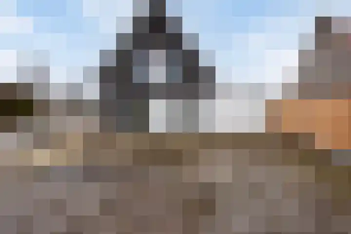 Spinnekopmolen 17 de Lutte thumbnail 20