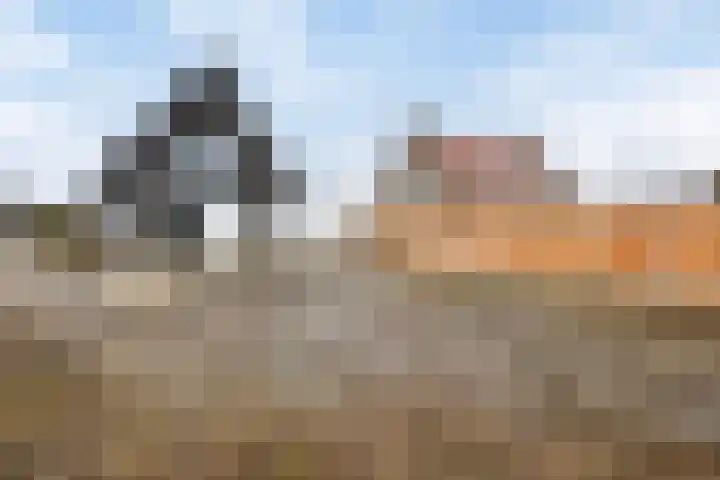 Spinnekopmolen 17 de Lutte thumbnail 21