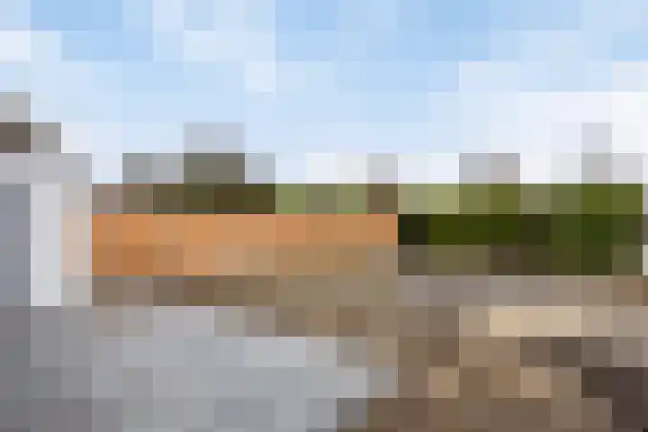 Spinnekopmolen 17 de Lutte thumbnail 23