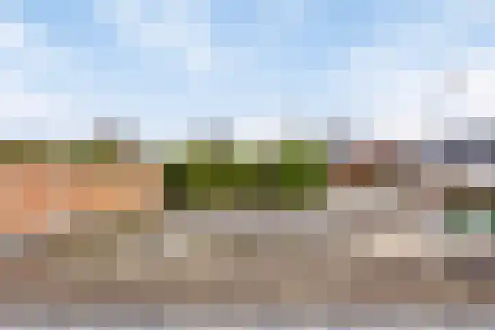 Spinnekopmolen 17 de Lutte thumbnail 24