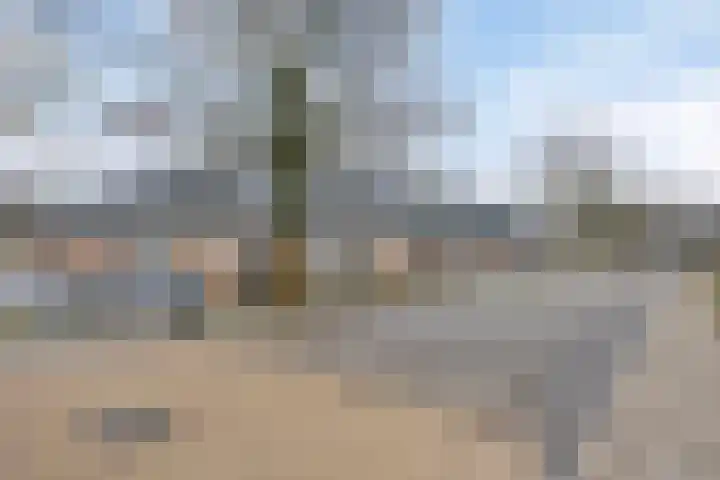 Spinnekopmolen 17 de Lutte thumbnail 26