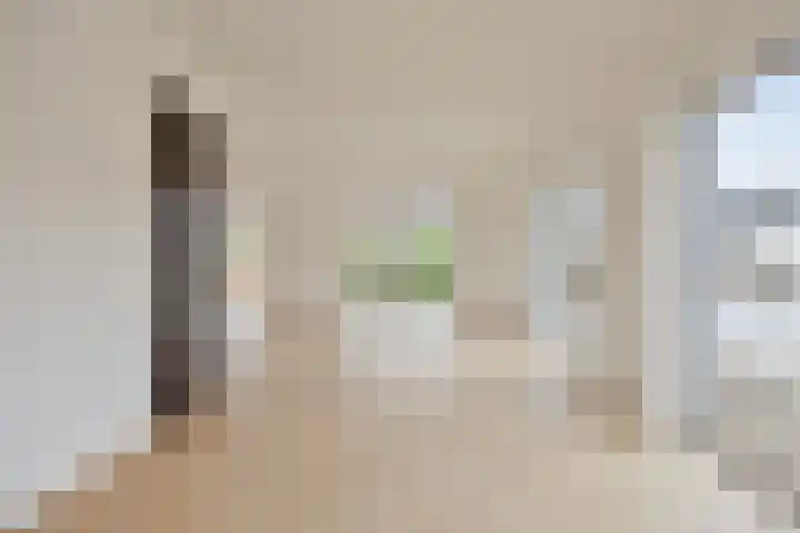 Spinnekopmolen 17 de Lutte thumbnail 4