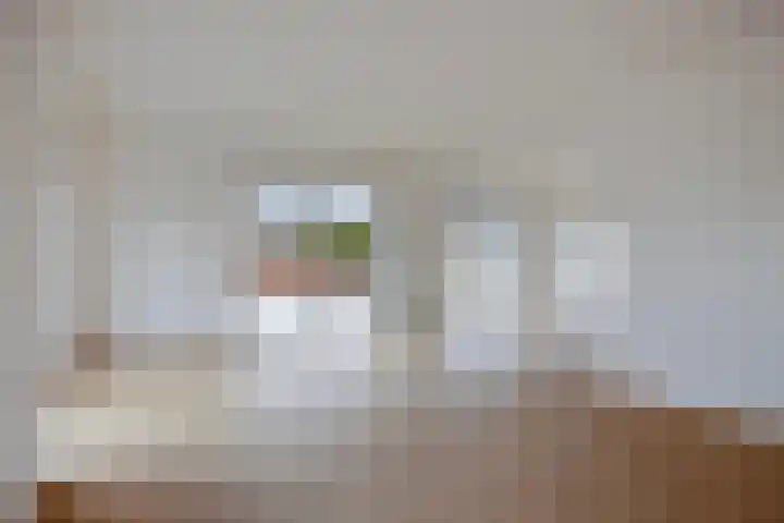Spinnekopmolen 17 de Lutte thumbnail 6