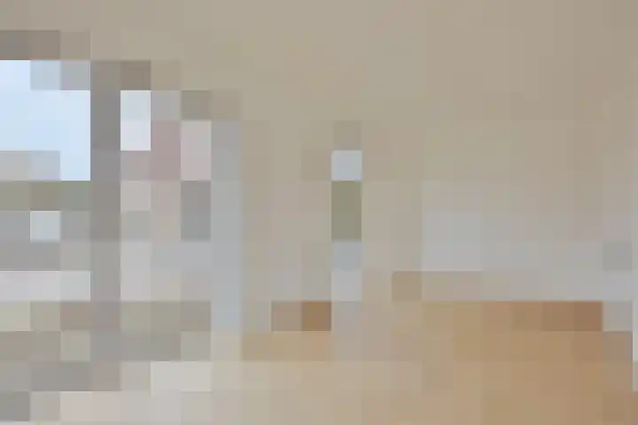Spinnekopmolen 17 de Lutte thumbnail 8