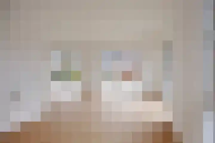 Spinnekopmolen 17 de Lutte thumbnail 9