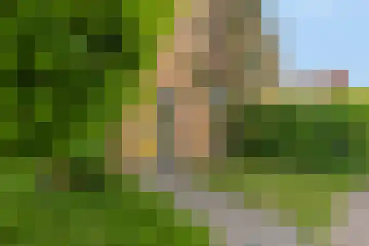 Spinnerij 37 Barendrecht thumbnail 6