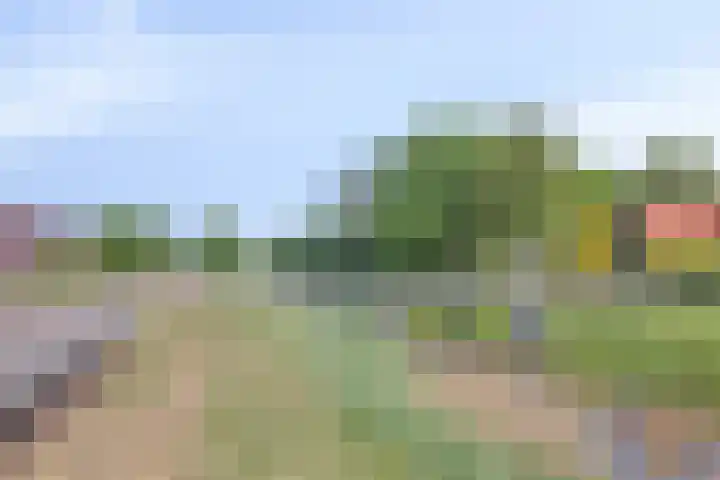 Spinnerij 39 Almelo thumbnail 40