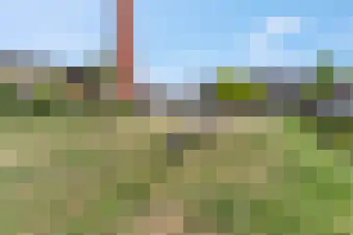 Spinnerij 43 Ede thumbnail 24