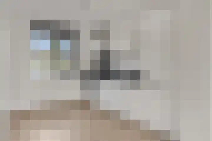 Spinnerij 43 Ede thumbnail 7