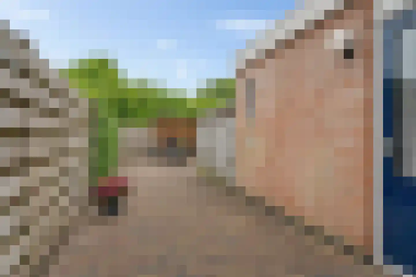 Spinnerij 54 Gorredijk thumbnail 29
