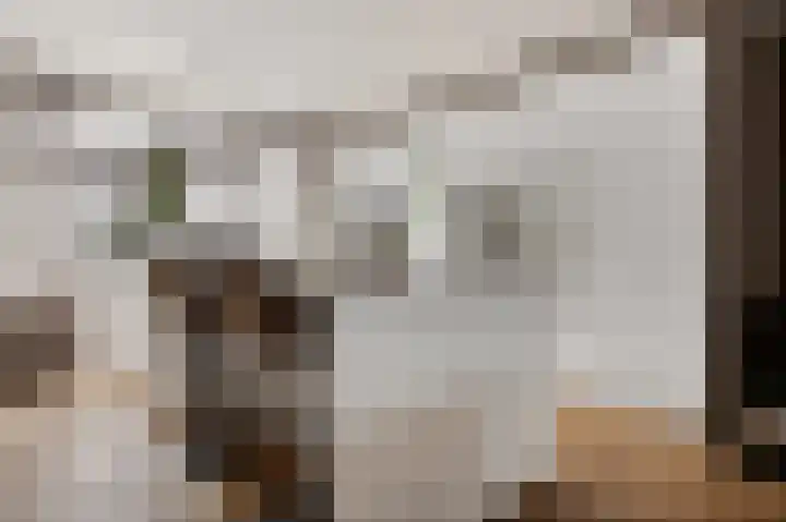 Spinnerijstraat 2 11 Goirle thumbnail 6
