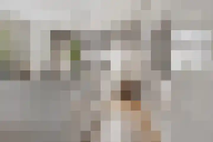 Spinnerijstraat 2 11 Goirle thumbnail 8