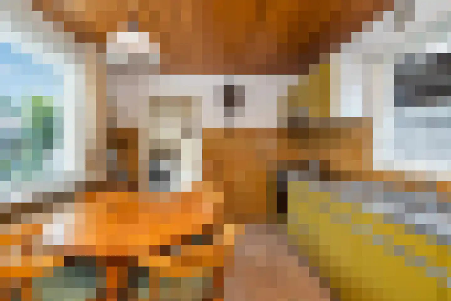 Spinnersweg 32 Overdinkel thumbnail 19