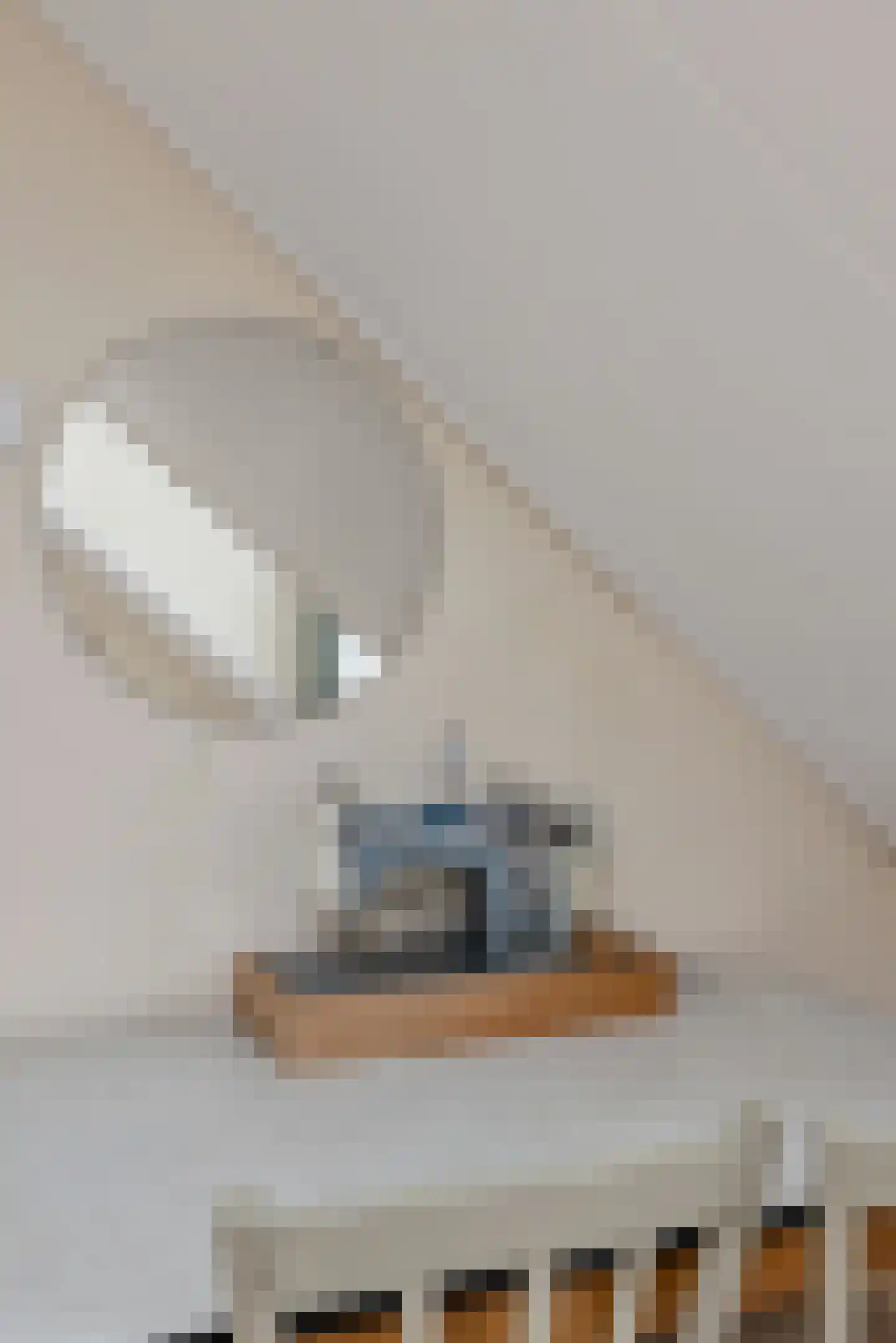 Spinnersweg 32 Overdinkel thumbnail 32