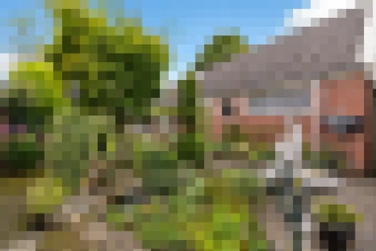 Spinnersweg 32 Overdinkel thumbnail 45