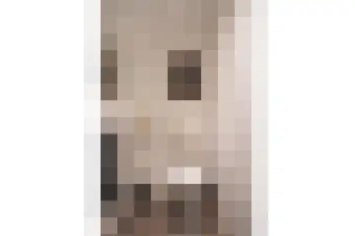 Spinnersweg 6 Overdinkel thumbnail 24