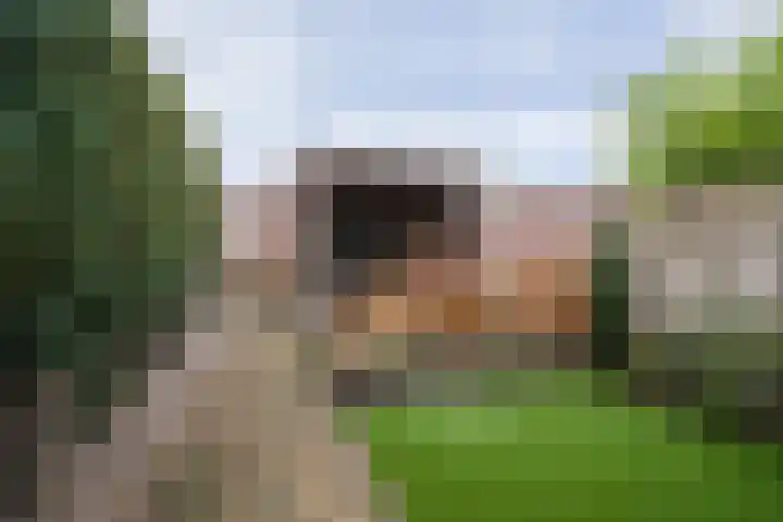 Spinnersweg 6 Overdinkel thumbnail 31