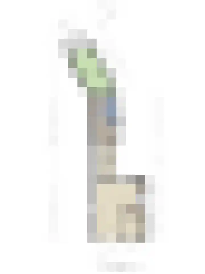 Spinnersweg 6 Overdinkel thumbnail 36