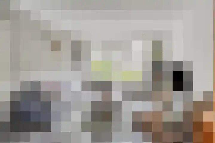 Spinnerwei 4 Valkenswaard thumbnail 10